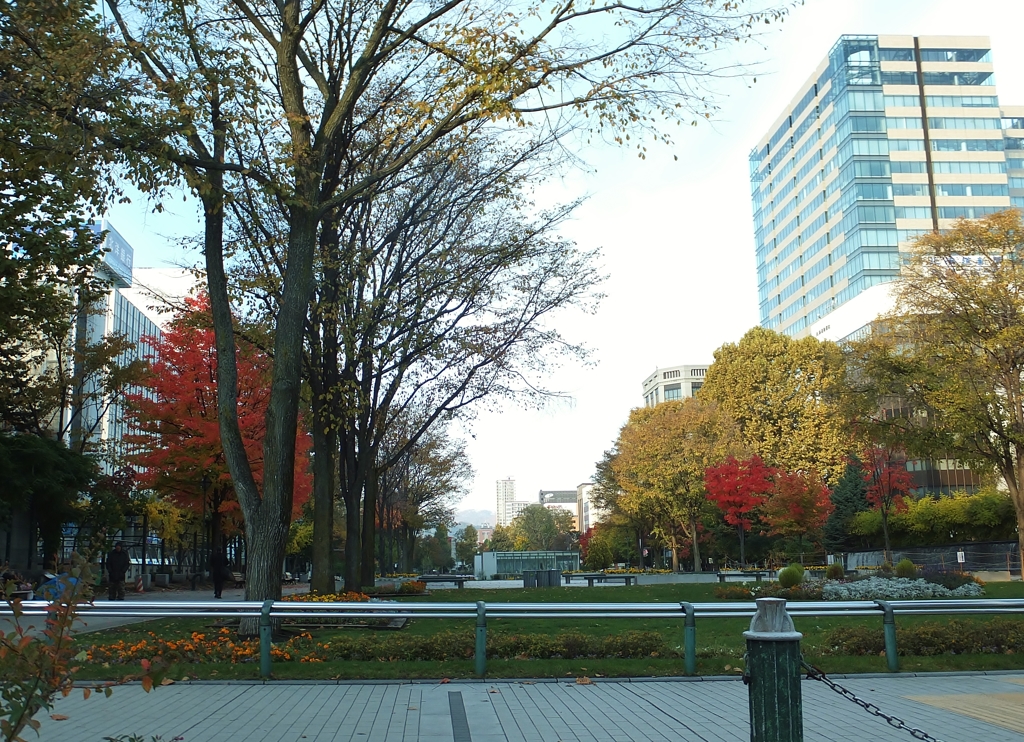 大通り公園の秋　Ⅰ