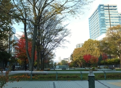 大通り公園の秋　Ⅰ