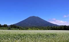 今日は、羊蹄山　６