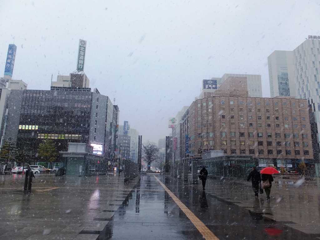 初雪二日目　　札幌駅前通り