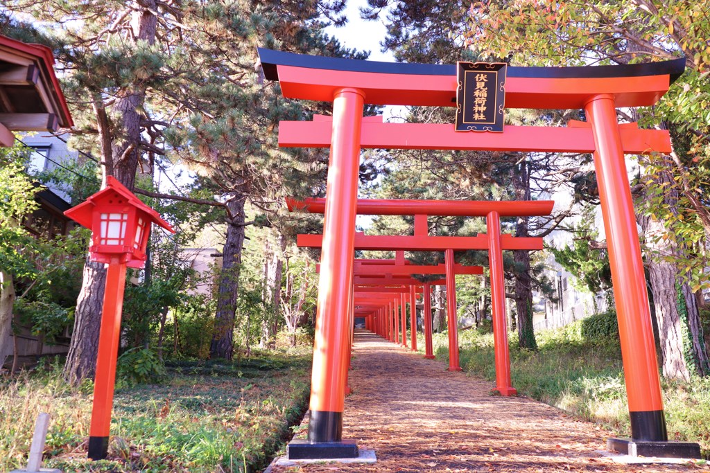 北の街の朱色の鳥居　２