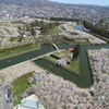 五稜郭の桜　Ⅰ