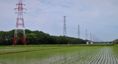 水田　そして　鉄塔