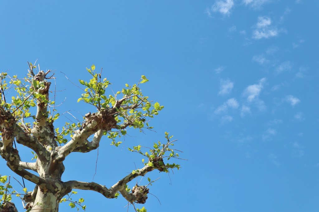 空に向かえ