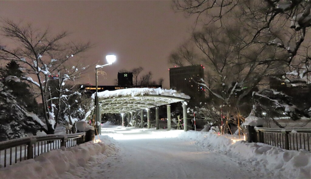 雪夜の公園