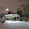 雪夜の公園