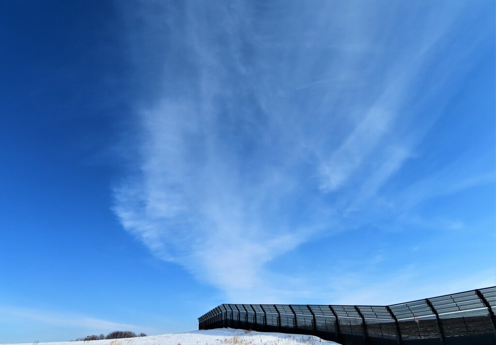 冬空