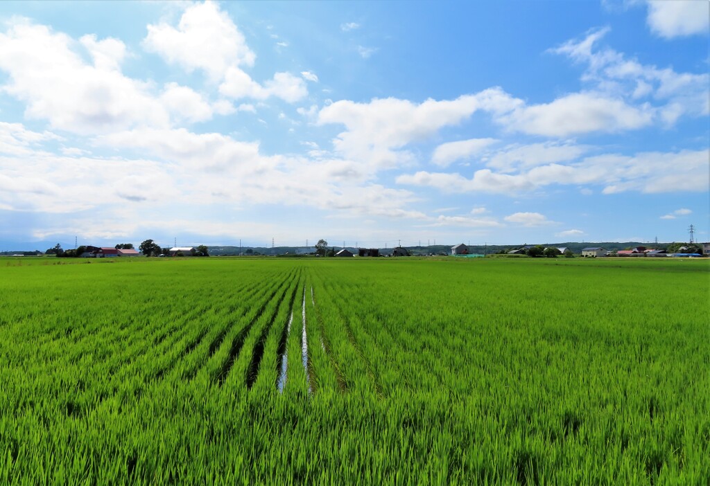 徒歩７分の風景