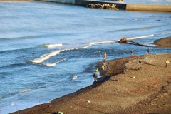 シャケ（鮭）釣り