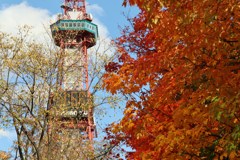 都会の紅葉　１