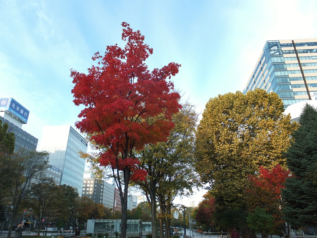 大通り公園の秋　Ⅲ