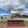 馬だけど「像」