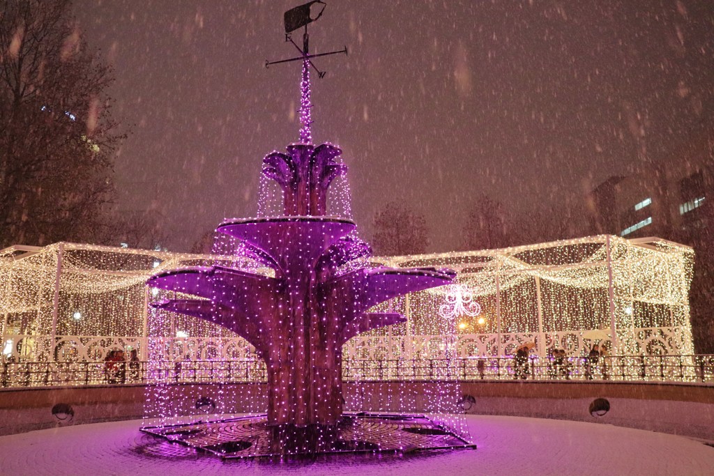 ホワイトイルミネーション　Ⅴ