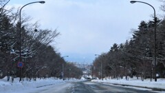 チョットした坂道から