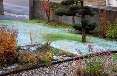 芝の上に