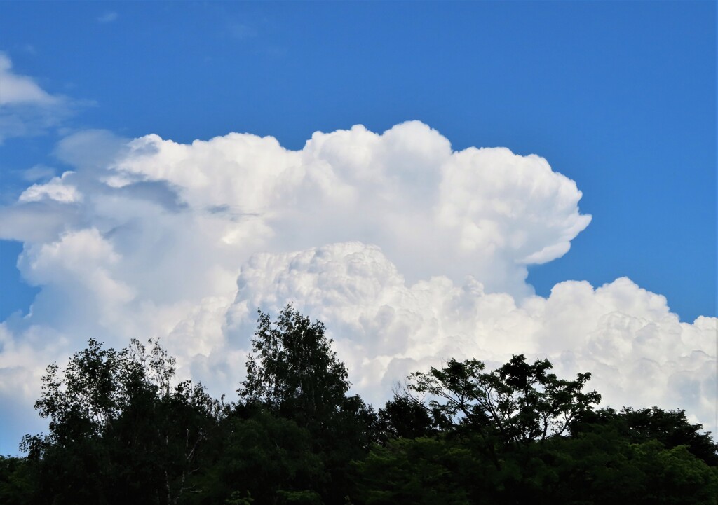 夏雲