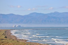 浜