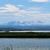 大雪と水田　２