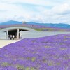 頭大仏とラベンダー　エントランス