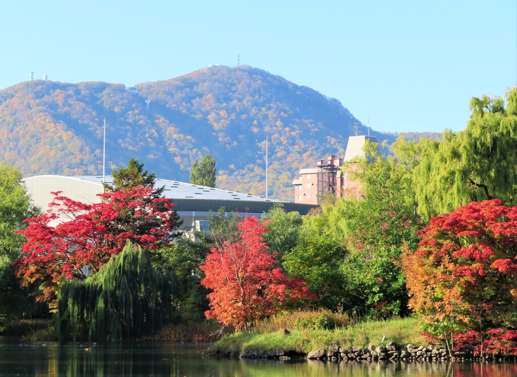 紅葉とキタラと藻岩山