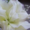 花　１４