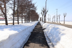 もう歩道は除雪不要