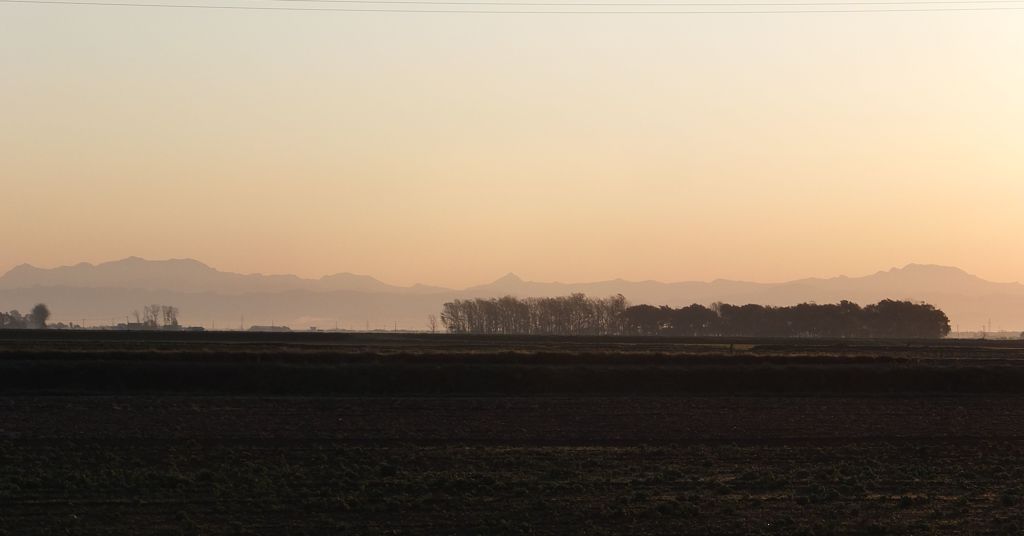 朝景　Ⅱ