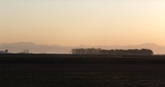 朝景　Ⅱ