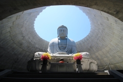 大仏全景