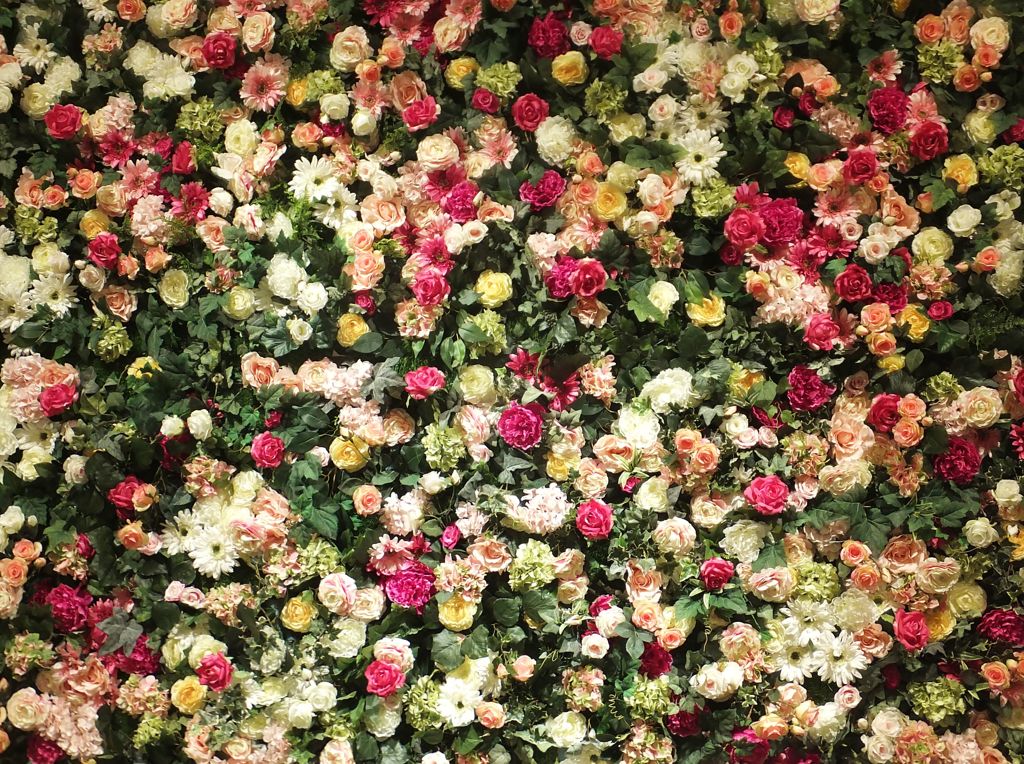 デコレーション　Ⅲ　　百万本の薔薇？