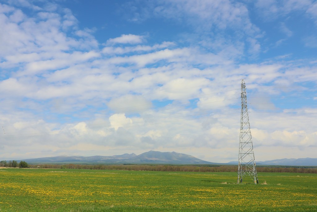 北海道らしさの景色