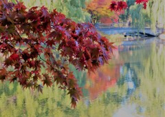 紅い葉と池と橋