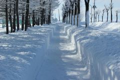 歩道も除雪