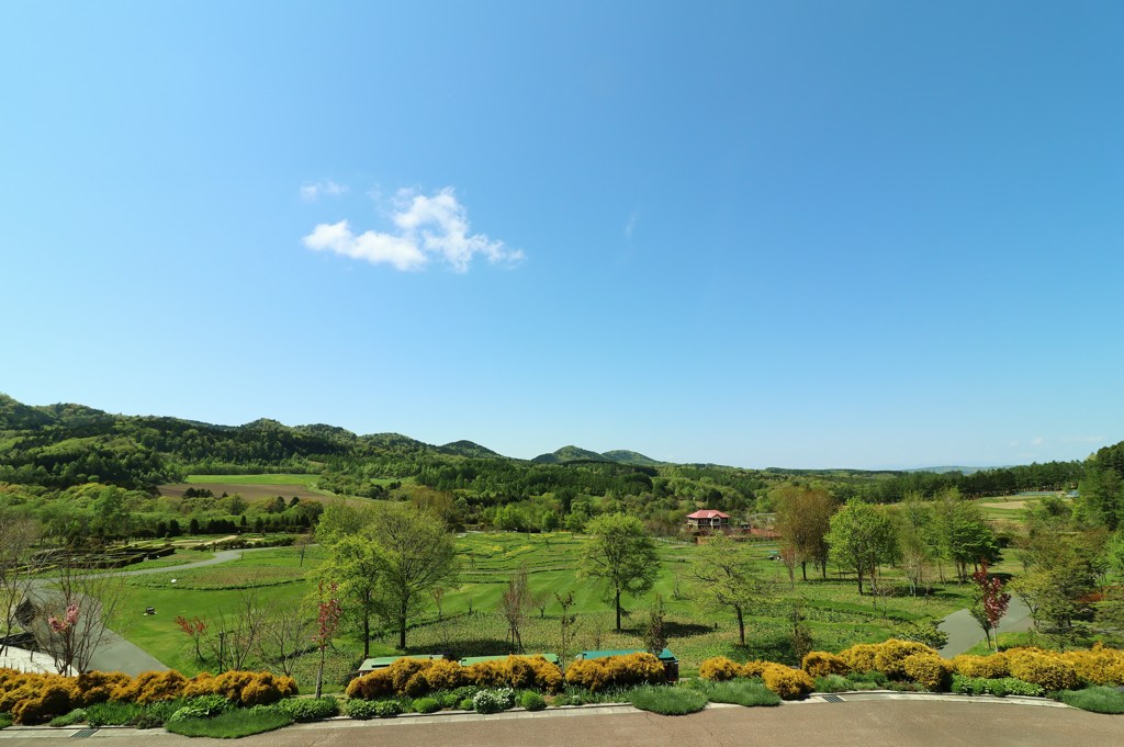 青空の下のガーデン