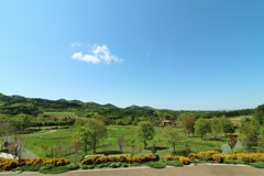 青空の下のガーデン