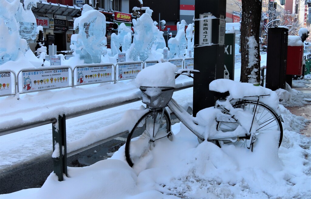 チャリにも雪が