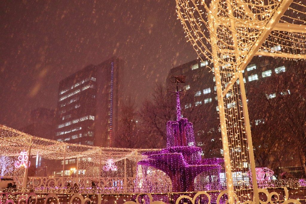 ホワイトイルミネーション　Ⅲ