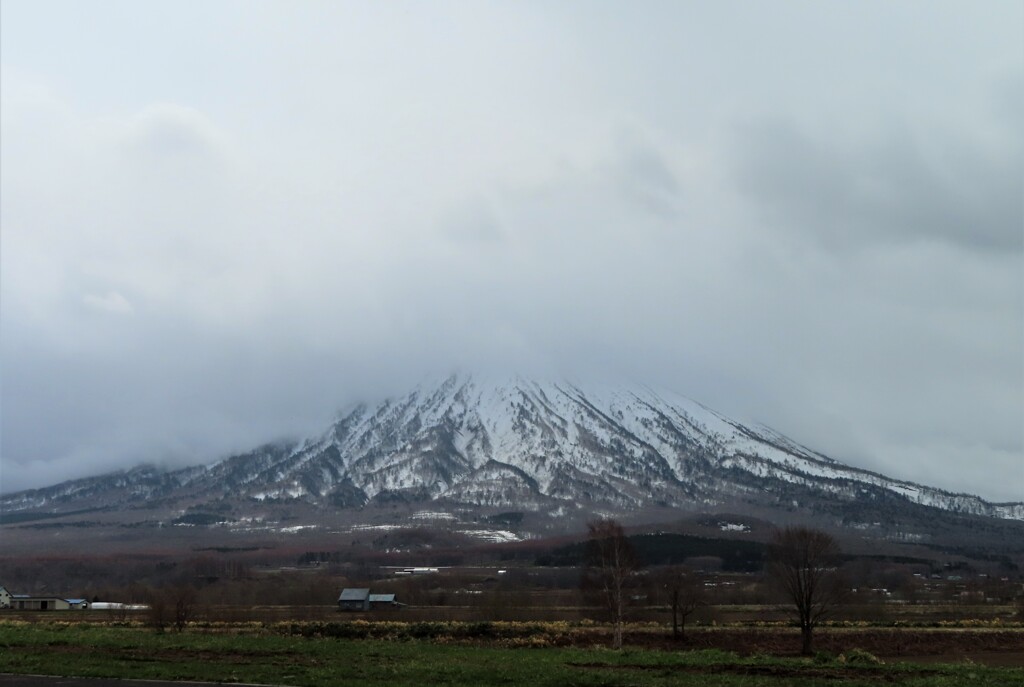 春の羊蹄山　頭隠しちゃってる