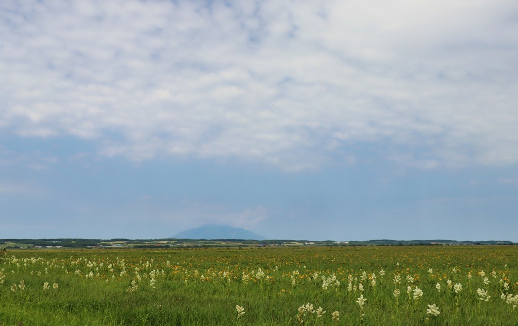 サロベツ原野