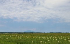 サロベツ原野