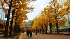 赤レンガ広場から道庁を
