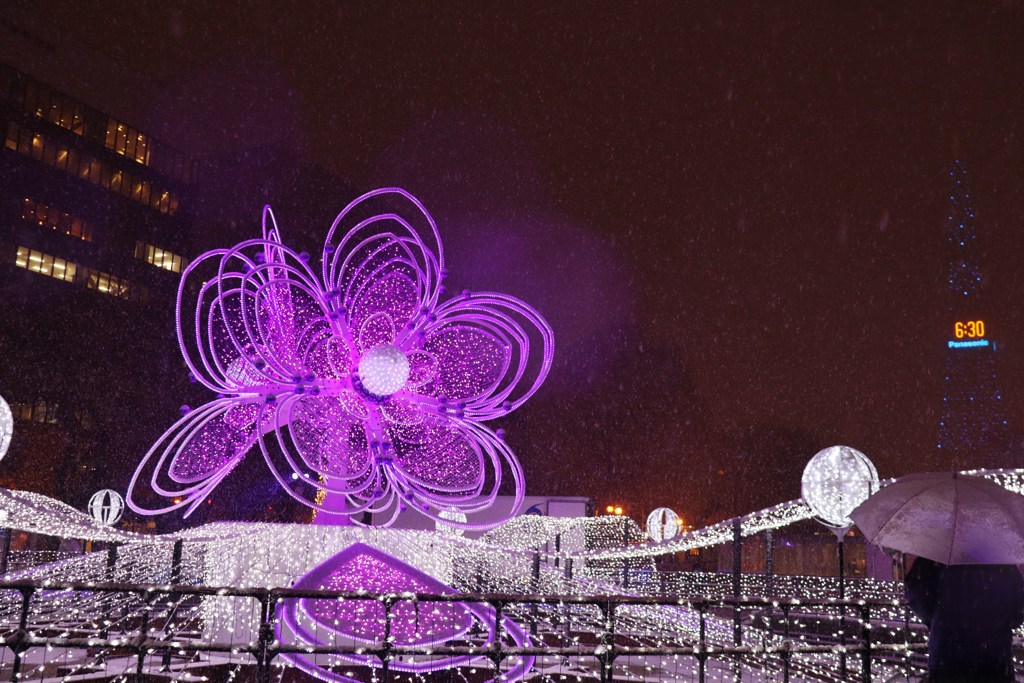 ホワイトイルミネーション　Ⅷ