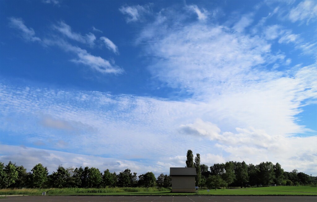 雲　良し！