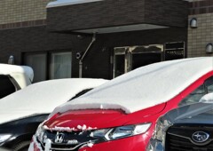 車の雪