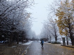 初雪二日目　中島公園入口