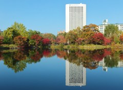 公園の紅葉　リフレクション