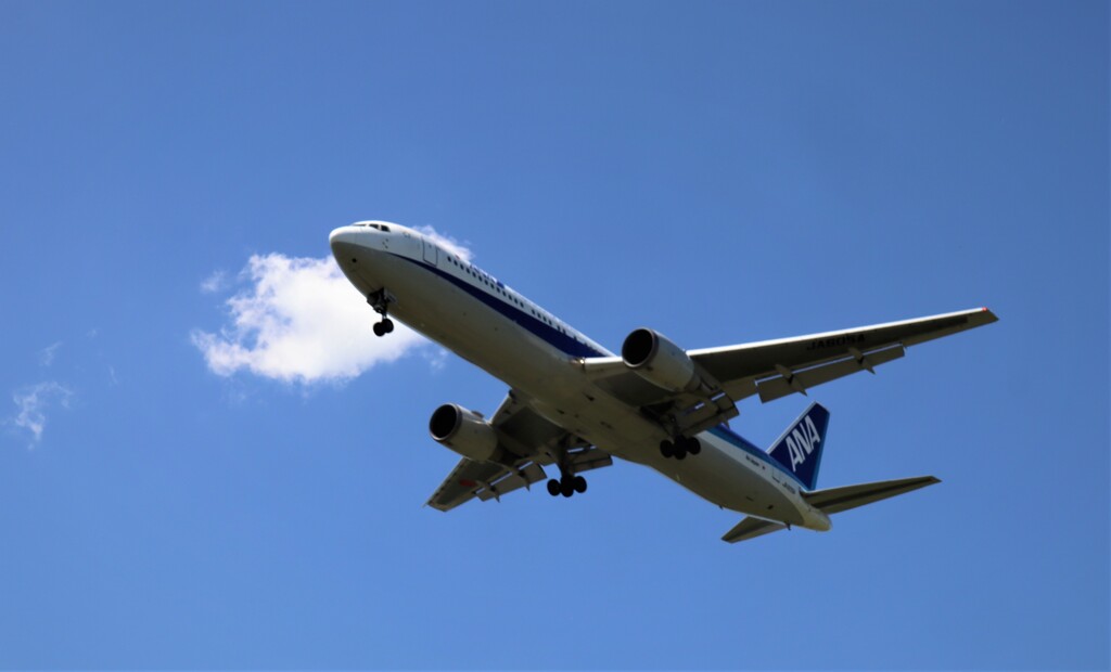 久々　飛行機　３