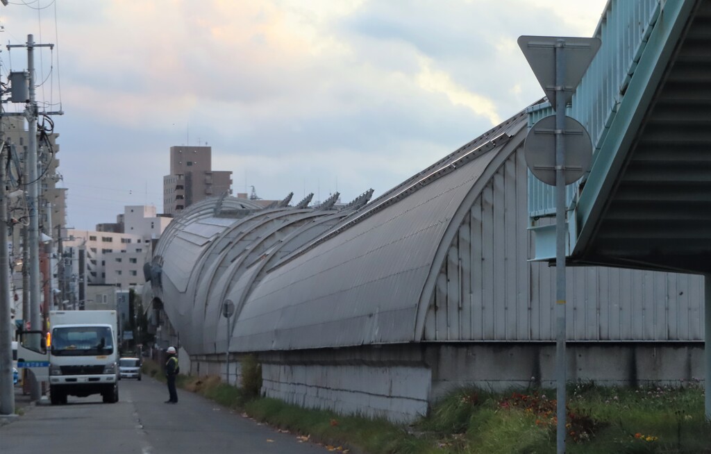 銀の龍