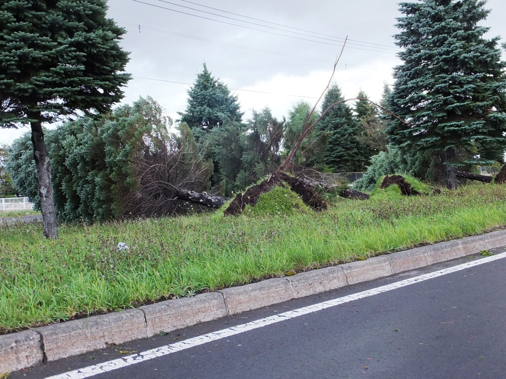 台風の爪痕速報　４