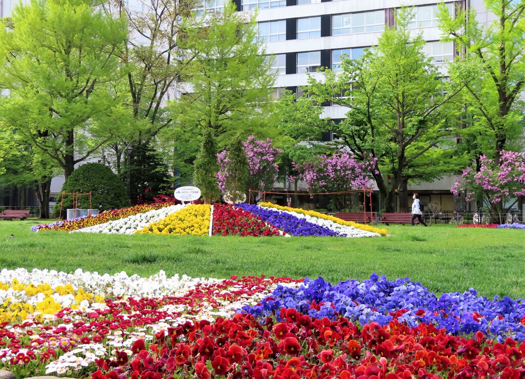 公園　花壇はバッチリ！